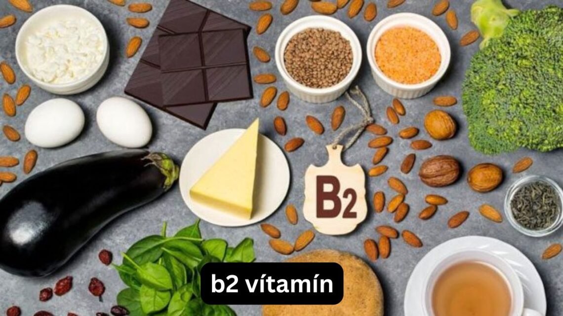B2 Vítamín