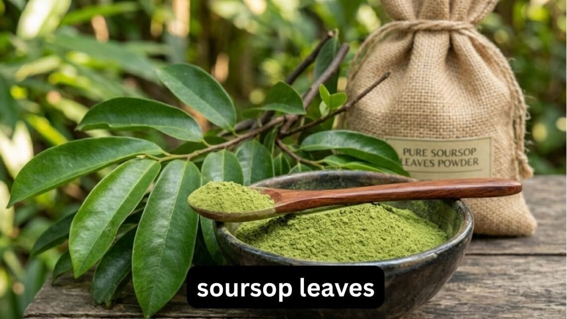 Soursop Leaves