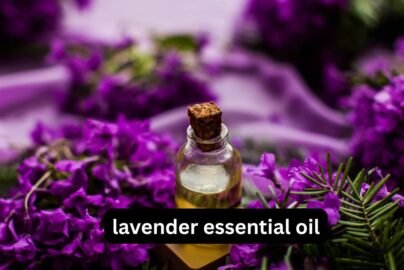 Lavender Essential Oil