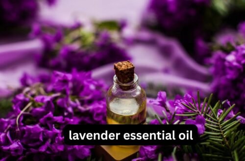 Lavender Essential Oil