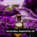 Lavender Essential Oil