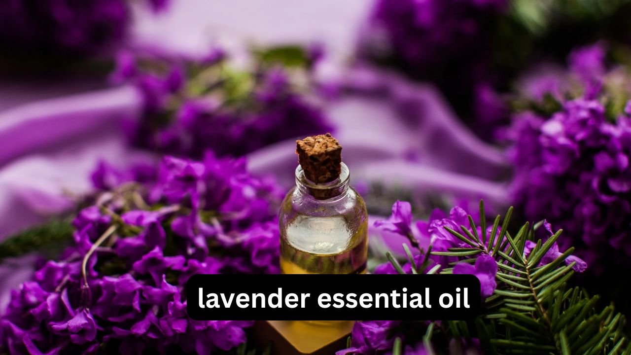 Lavender Essential Oil
