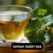 lemon balm tea