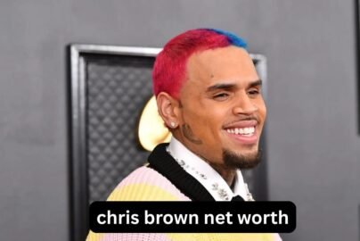 Chris Brown net worth