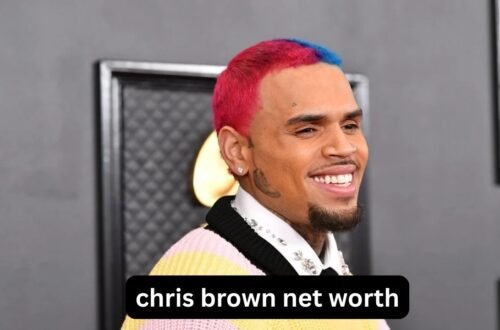 Chris Brown net worth