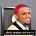Chris Brown net worth