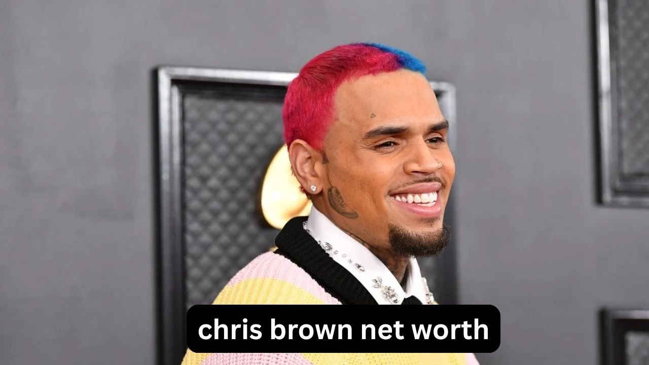 Chris Brown net worth